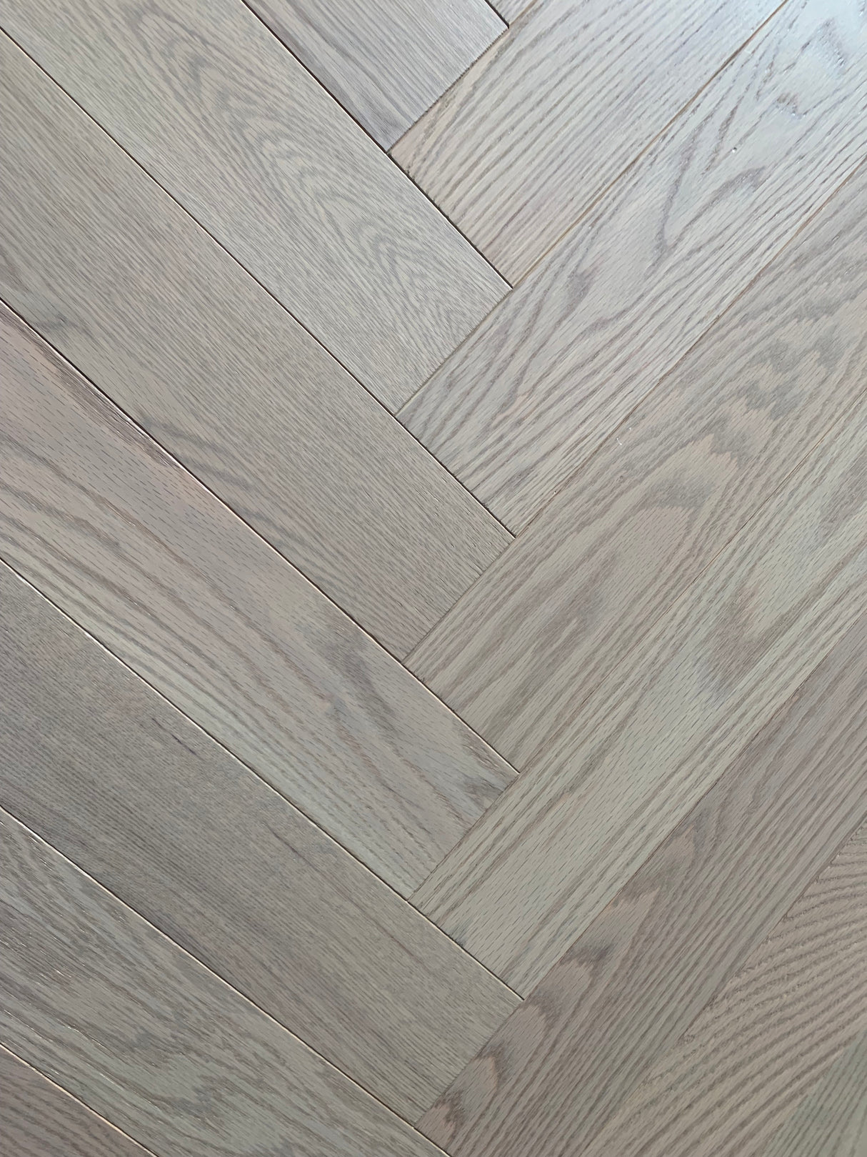 Sildebensparket i rødeg - Monte Carlo - Bredde 132 mm