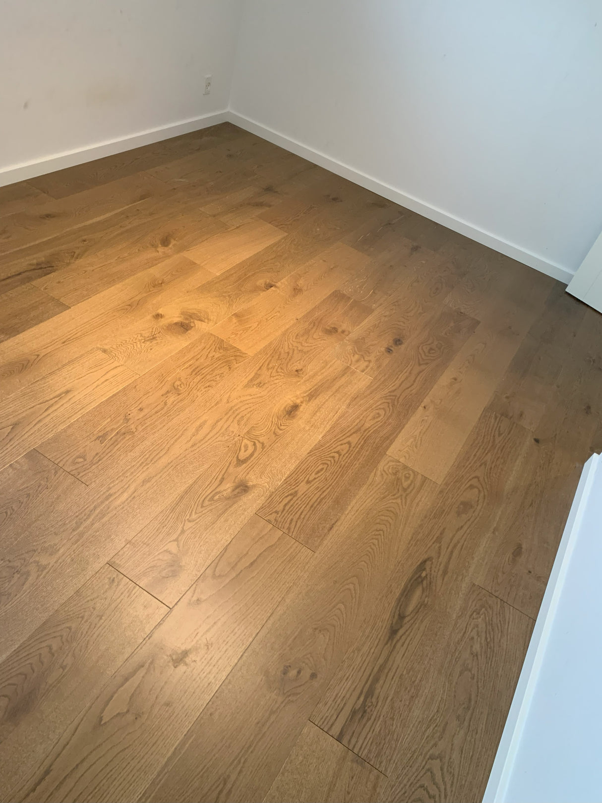 Plankegulv i eg - Cork - Bredde 203 mm