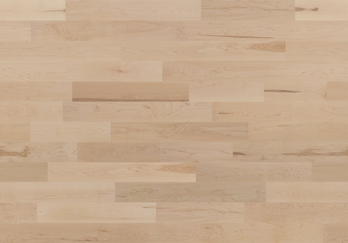 Hard Maple Silenzio - Stonetreatment